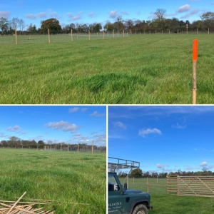 The next chapter of our tree-planting journey - autumn 2023