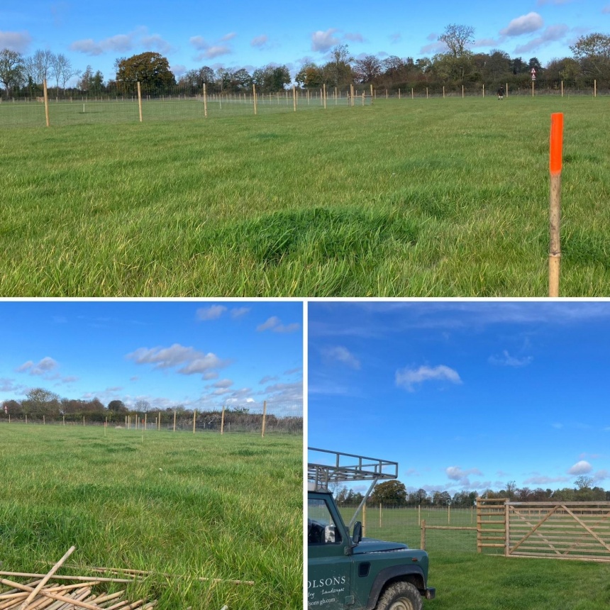 The next chapter of our tree-planting journey - autumn 2023