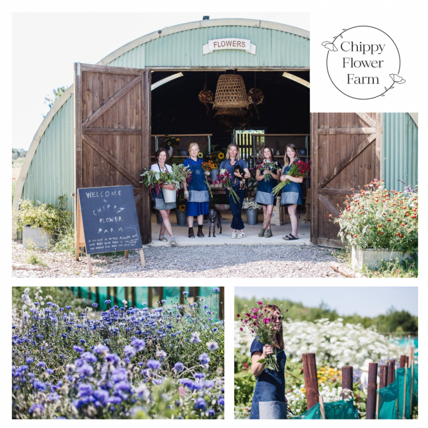 Explore Nearby: Chippy Flower Farm