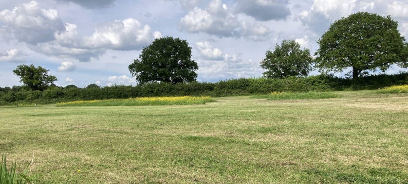 The camping paddock near Barford St Michael