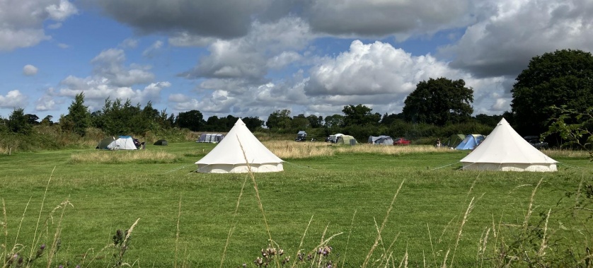 Tent camping and glamping at Spring Hill Farm Oxfordshire