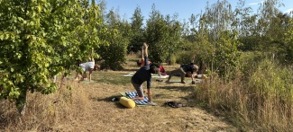 Woodland Yoga