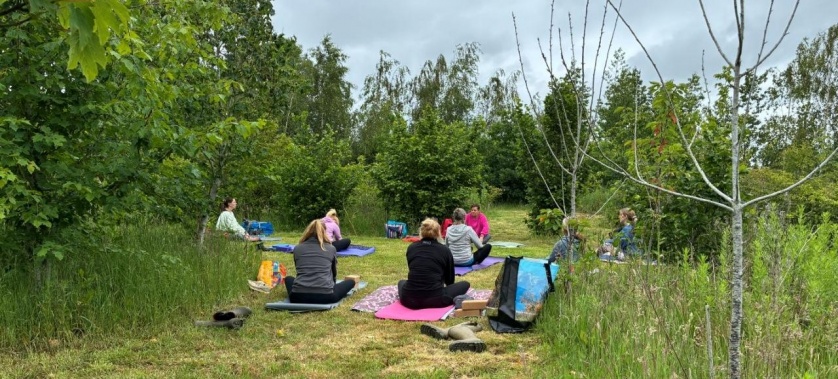Gentle outdoor yoga being practised amongst the trees at Spring Hill Farm, creating a peaceful nature-based yoga experience near Barford St Michael in Oxfordshire.