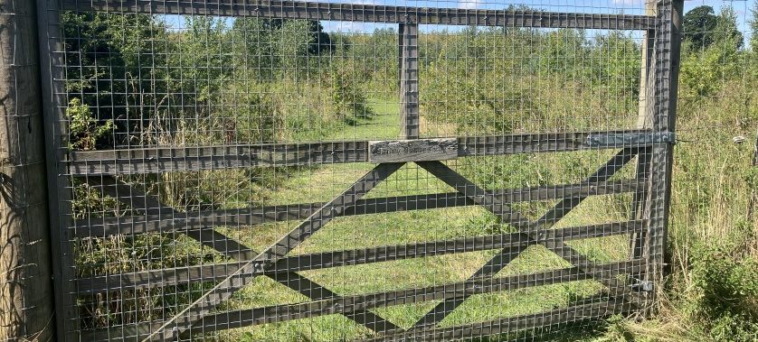 Barley bushes dog walking area