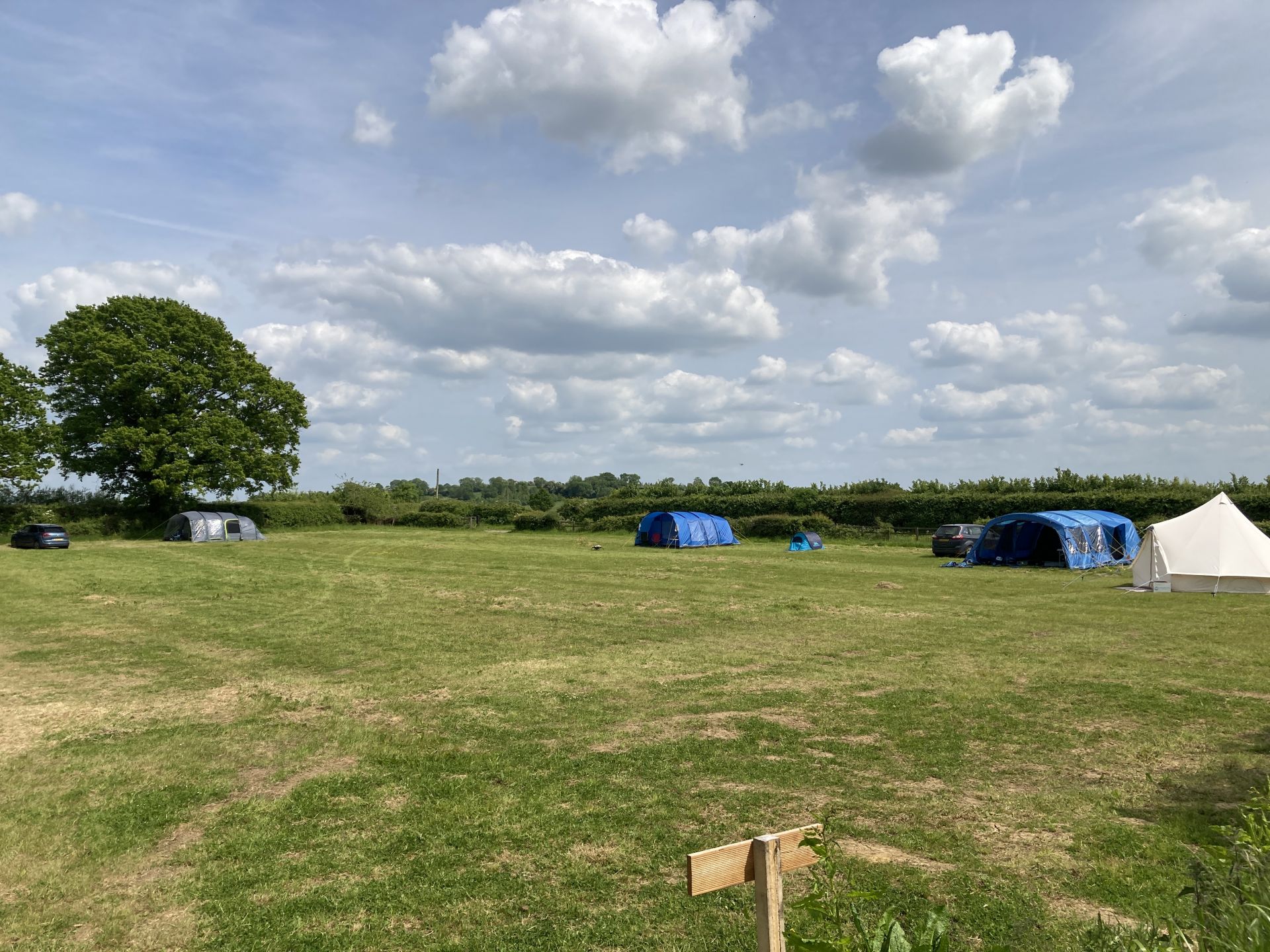 Grass camping pitches at Spring Hill Farm