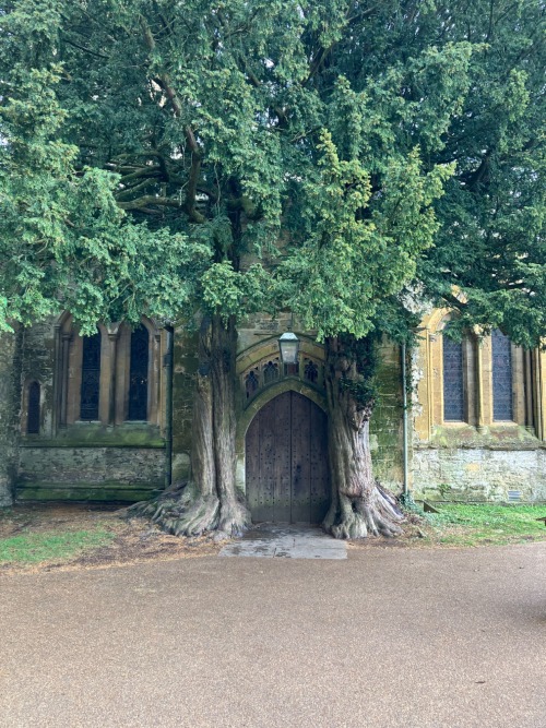 Tolkien Door - Stow on the Wold