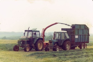 Grass silage June 1981